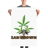 LAB GROWN - Poster - HTBADD