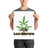 LAB GROWN - Poster - HTBADD