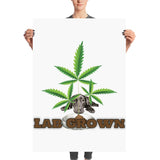 LAB GROWN - Poster - HTBADD