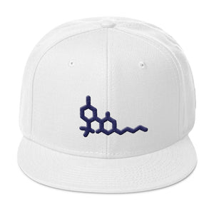 SIG - Flat Bill Snapback Hat