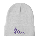 SIG - Knit Beanie